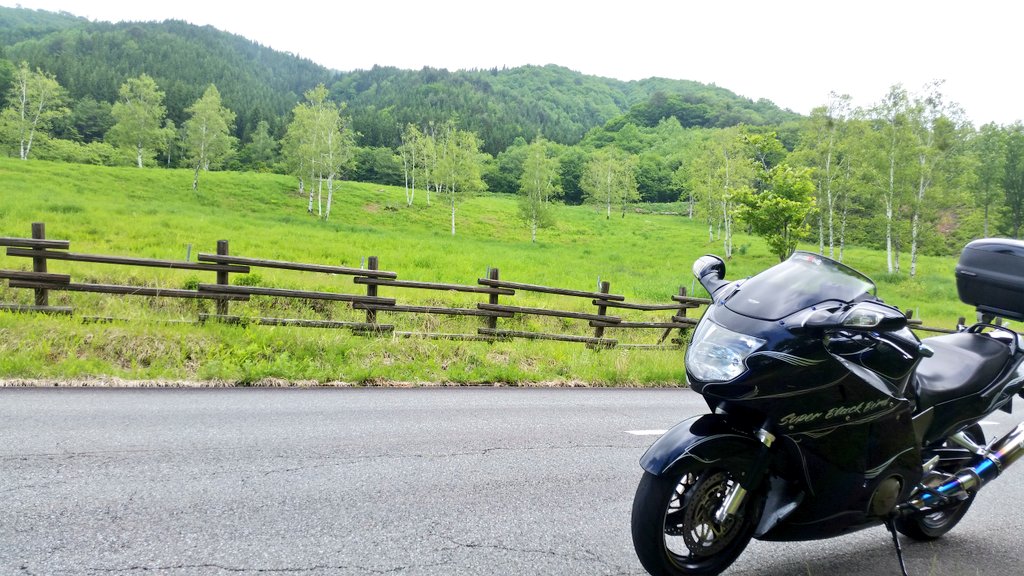 有 峰 林道 自転車