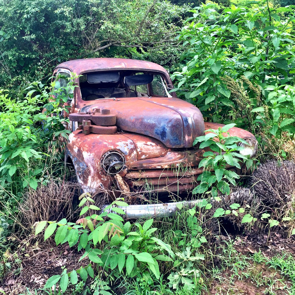 thisgrltravels's tweet photo. So excited to be in @visitloudon in #Tennessee! Looking forward to discovering the great things this county has to offer. #VisitLoCo https://t.co/8RgelzJivw