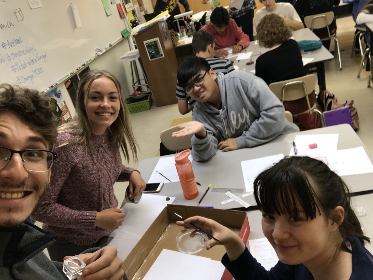 stupitheadd's tweet image. we love #antweek !!! #pheidole #formica @kporterEHS