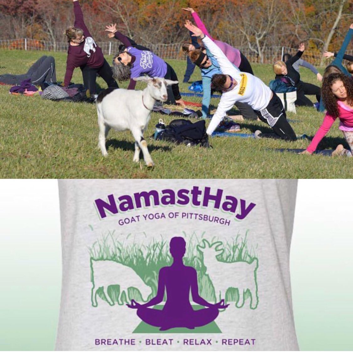 RysTshirts's tweet photo. A HUGE thanks to Jen of NamastHay Goat Yoga of Pittsburgh for being our Featured Studio of the May! We L❤️VE that these classes benefit animal rescues and shelters. Get yours at https://t.co/FW5Wrx337d
#yoga #namaste #yogi #wellness #pittsburgh #pittsburghyoga #yoga #goatyoga https://t.co/PnF4OsZhzS