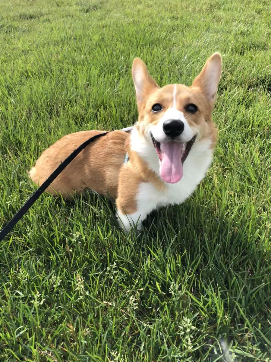 alglenn1's tweet photo. The sun makes us happy ☀️ https://t.co/swX3dmYVQz