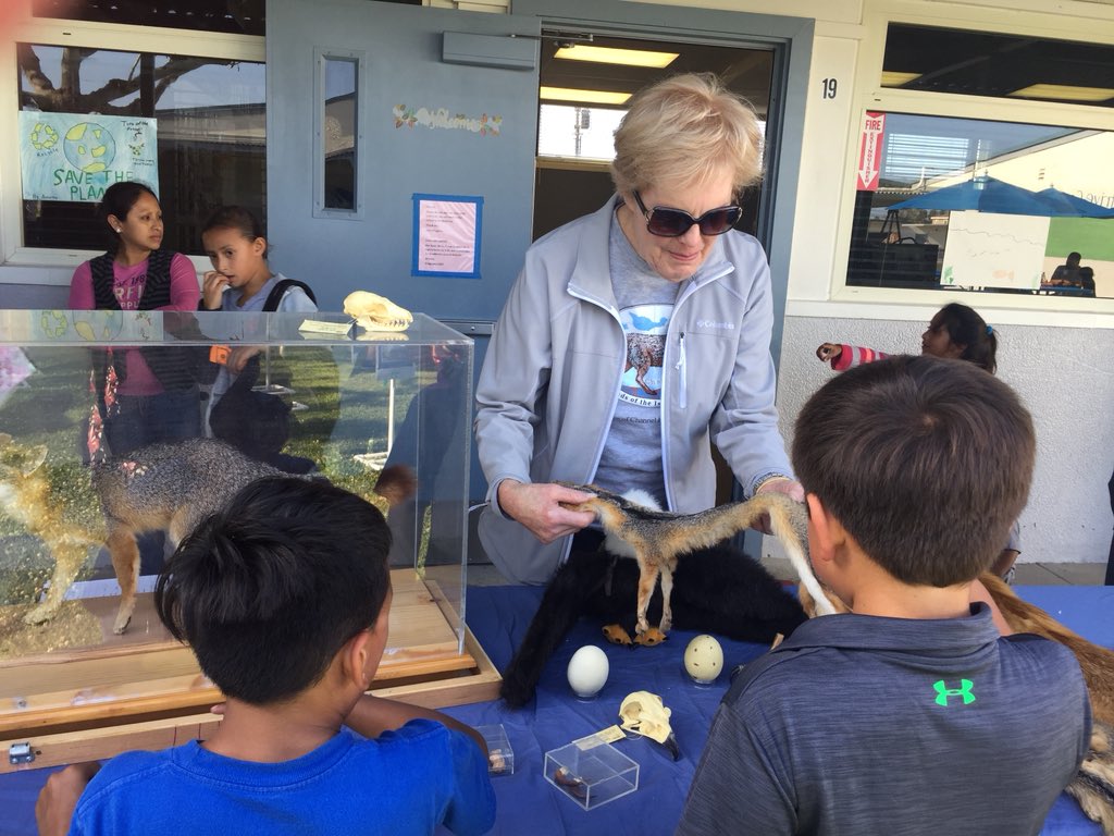 debbie_dward's tweet photo. Earth Night fun #hesdpride https://t.co/hdm6Y8UcSd