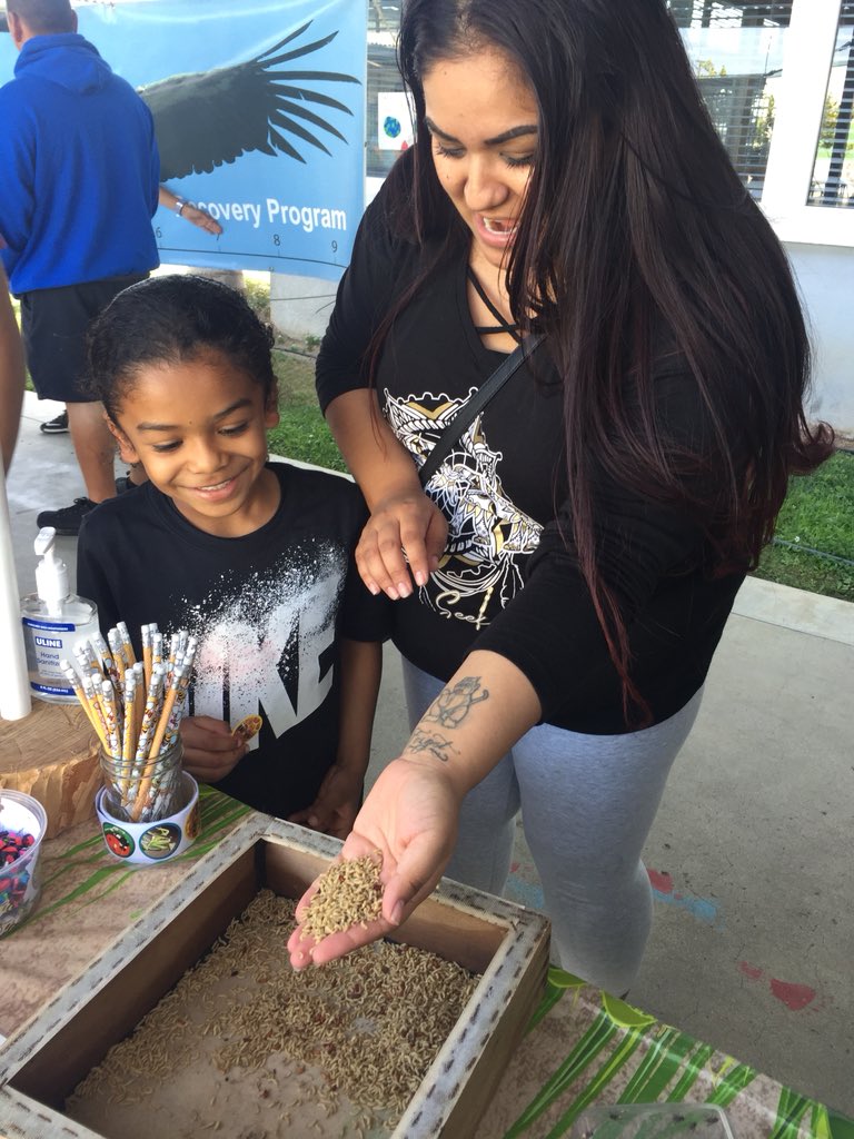 debbie_dward's tweet photo. Earth Night fun #hesdpride https://t.co/hdm6Y8UcSd