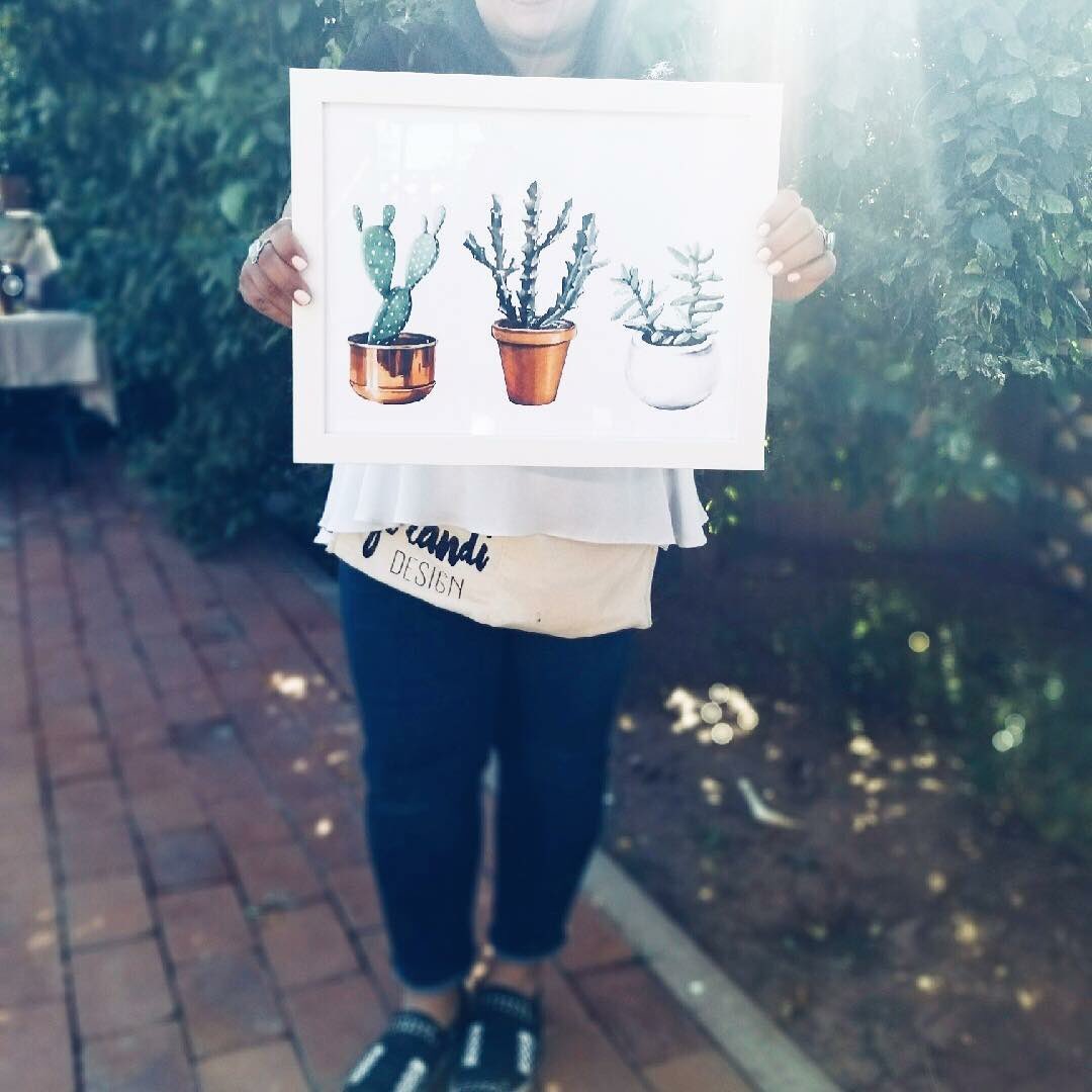 Pineapple Triangle tweet media