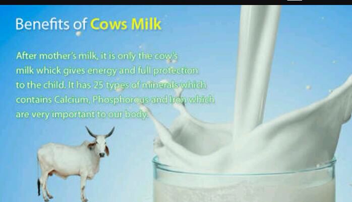 World Milk Day - 1 June