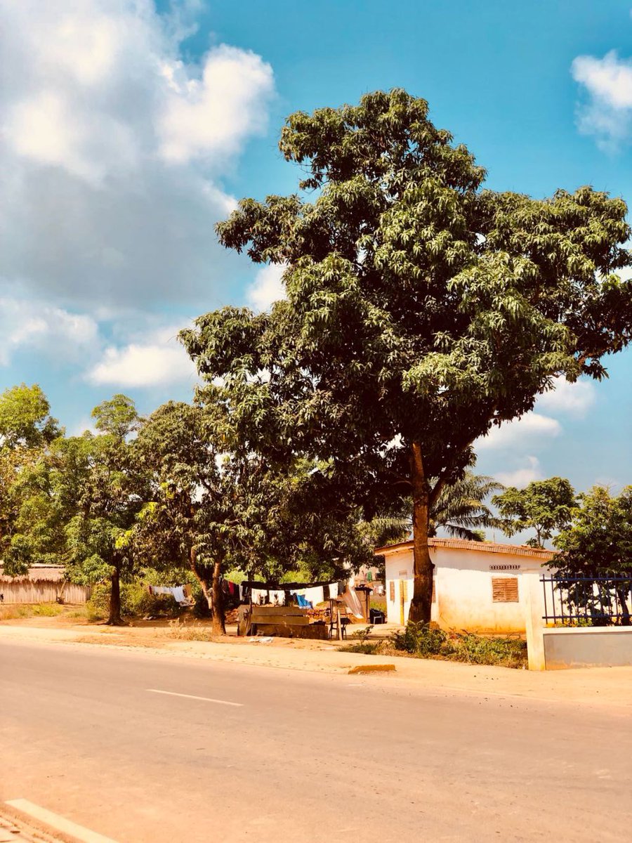 zalacalm's tweet photo. Découverte : Un décors de rêve sur la route Pointe noire Brazzaville en image. https://t.co/GeTYJgLe8U https://t.co/6neJEmbyNI