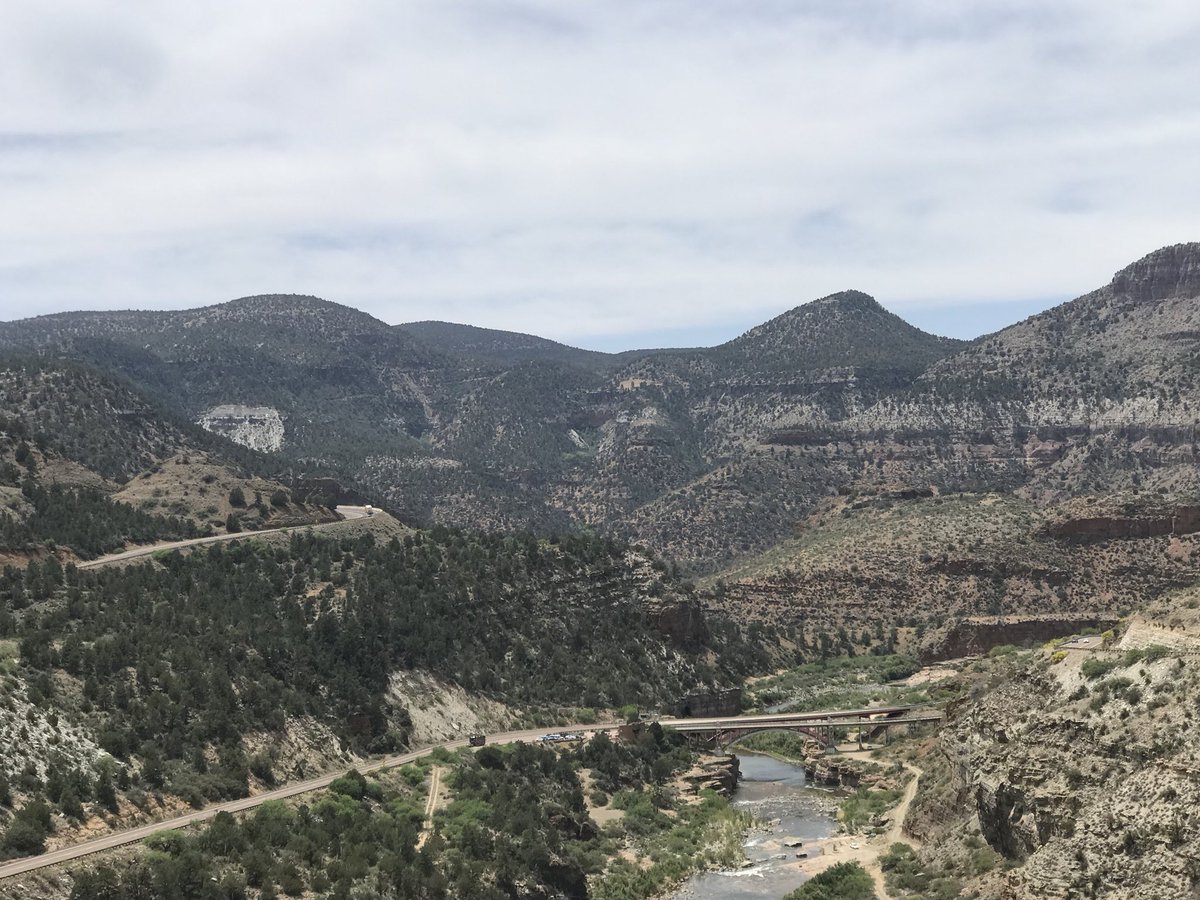 Ghee Buttersnaps🦂 (ShakerraSaidSo) Twitter