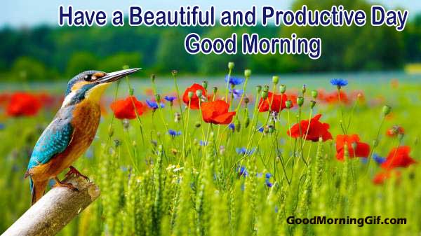 Goodmorningwithnatureimages Hashtag On Twitter