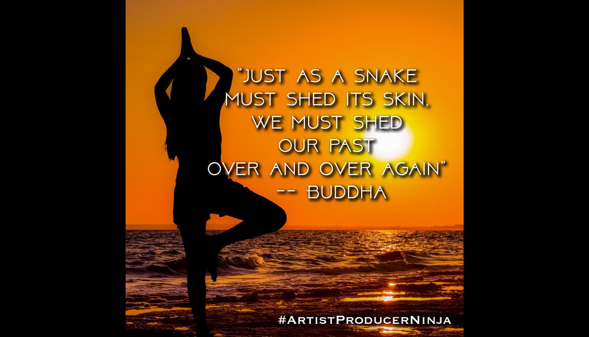 Shed your past and leave it behind #EnlightenYourself #ArtistProducerNinja