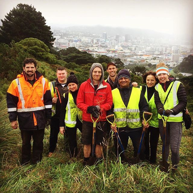First day of winter and we put in almost 1000 trees in the ground today
#worldenvironmentday #trees4tomorrow #cvnz #barkingdog #naturalcapital #urbanecology #forestrestoration #forestintheheartofwellington @conservationvolunteers @wgtncc
