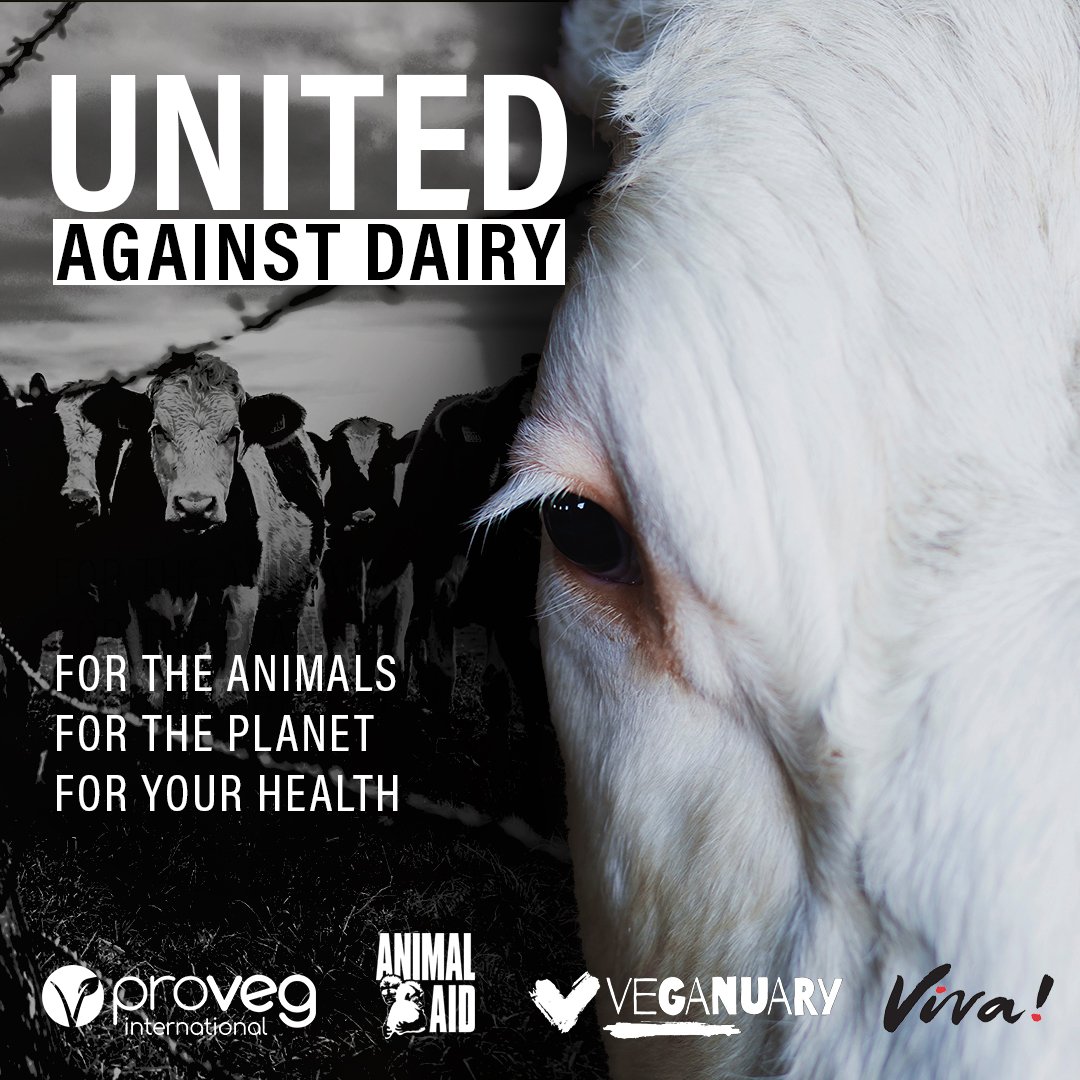 Not our mamas, not our milk. 💗

On #WorldMilkDay we are proud to stand with our friends <a href="/AnimalAid/">Animal Aid</a>, <a href="/ProVeg_UK/">ProVeg UK</a> and <a href="/vivacampaigns/">Viva!</a> in opposing dairy. ✊

Save lives. Choose plant-based milk.