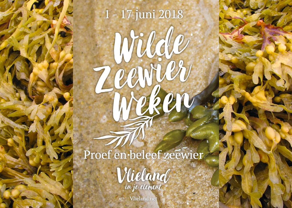 T/m 17 juni beleeft #Vlieland weer de #WildeZeewierWeken! Op het hele eiland zijn excursies, wandel- en fietstochten, workshops, wellnessbehandelingen en een groot aantal gerechten om kennis te maken met de vele toepassingen van zeewier. vlieland.net/nl/blog/wilde-…