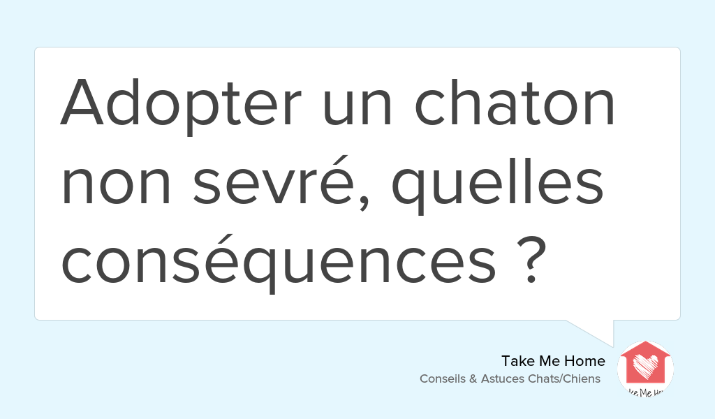 "Nous avons souvent eu l’envie de renoncer car ce n’était pas un chaton « facile »" goo.gl/zY82Y3