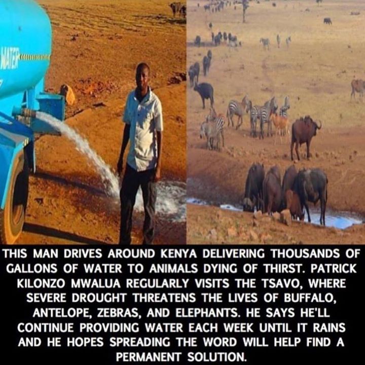 Meditation Masters (@meditationlyfe) on Twitter photo 