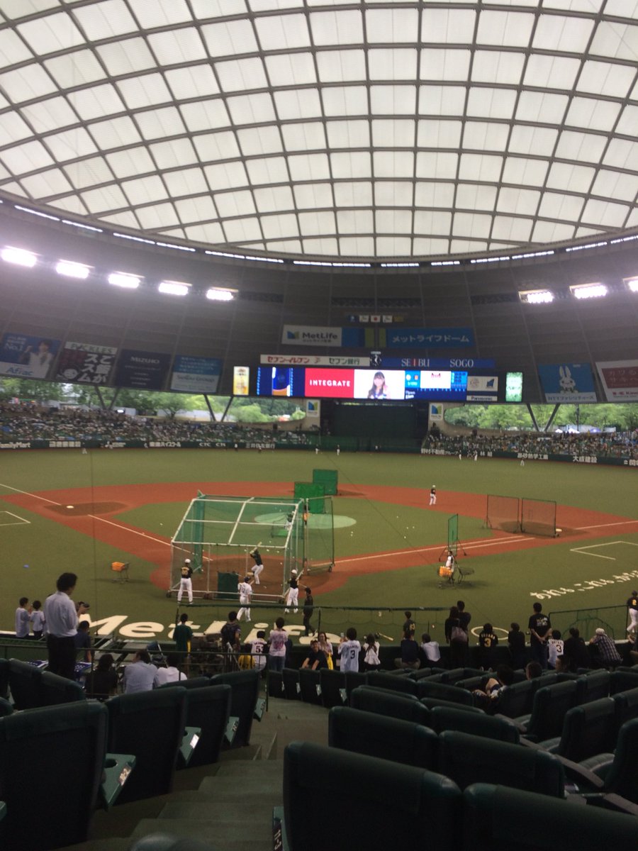 バックネットから観れる
さいこー！