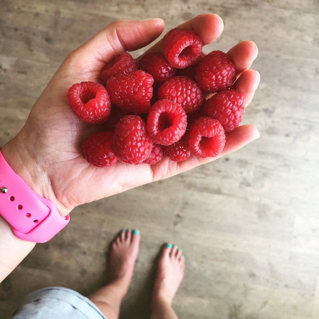 Ein Brötchen hat 2 BE – oder auch nicht! mein-diabetes-blog.com/ein-broetchen-…