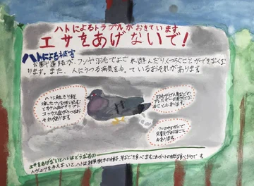 画像 / Picture
