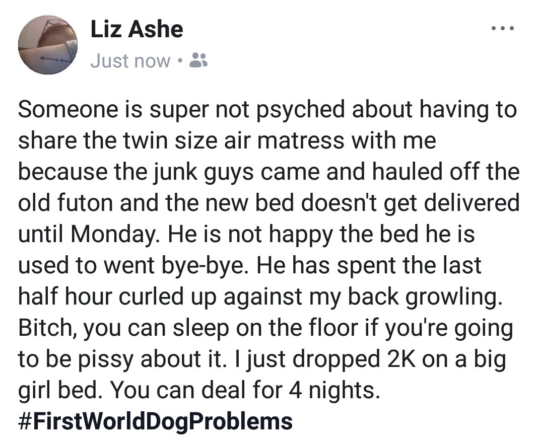 spankerella's tweet image. #FirstWorldDogProblems