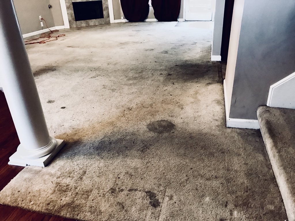 1cleaningSol's tweet photo. We not only give you quality service at a fair price, we also provide you with attention and customer care. Our satisfaction is Quality First and we understand that’s your expectation too. Message to schedule a cleaning service today! We are flexible and reliable. #memphis https://t.co/tt38Jegm5E