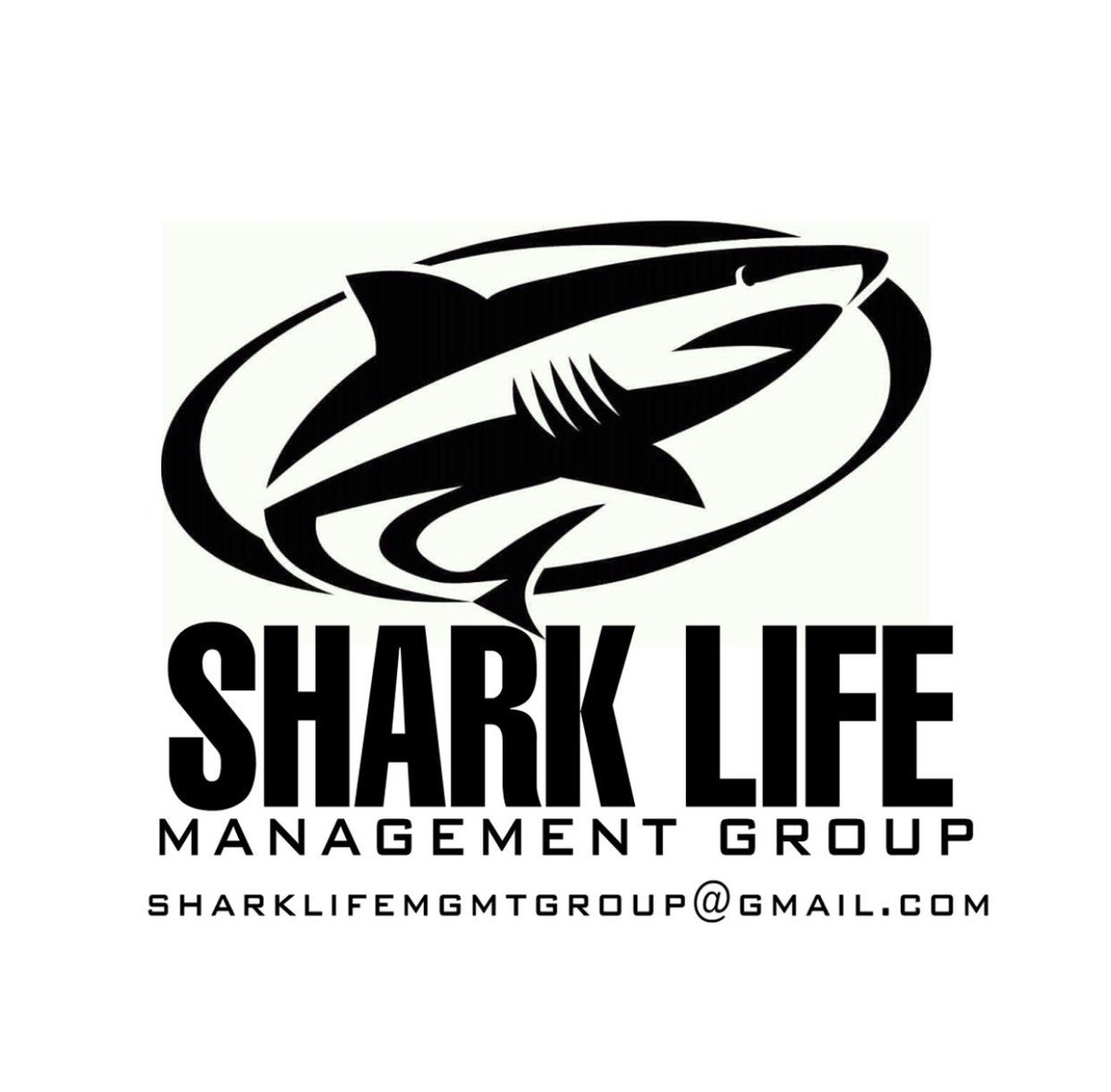 TeamSharkAttack's tweet photo. @EpixandStein662 come swim with the sharks!!! https://t.co/ObwdIFynYp