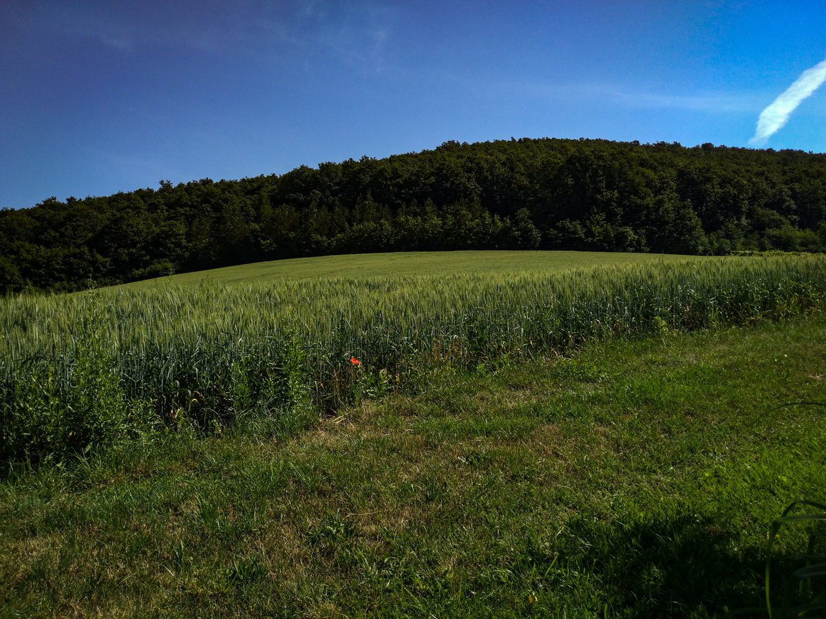 Tell the world what you intend to do, but first show it!
#PhotographyArt #photograghy #photograph #POTUS <a href="/POTUS/">President Donald J. Trump</a>

#ThursdayThoughts
#FridayThoughts