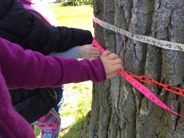 What is your image of the child? Capable? Curious? Powerful? How does your image inspire and inform #math instruction in your classroom? Are children ‘receptacles to be filled’ or constructors of their own knowledge and understanding? #MTBoS #joyfulmath #Reggio