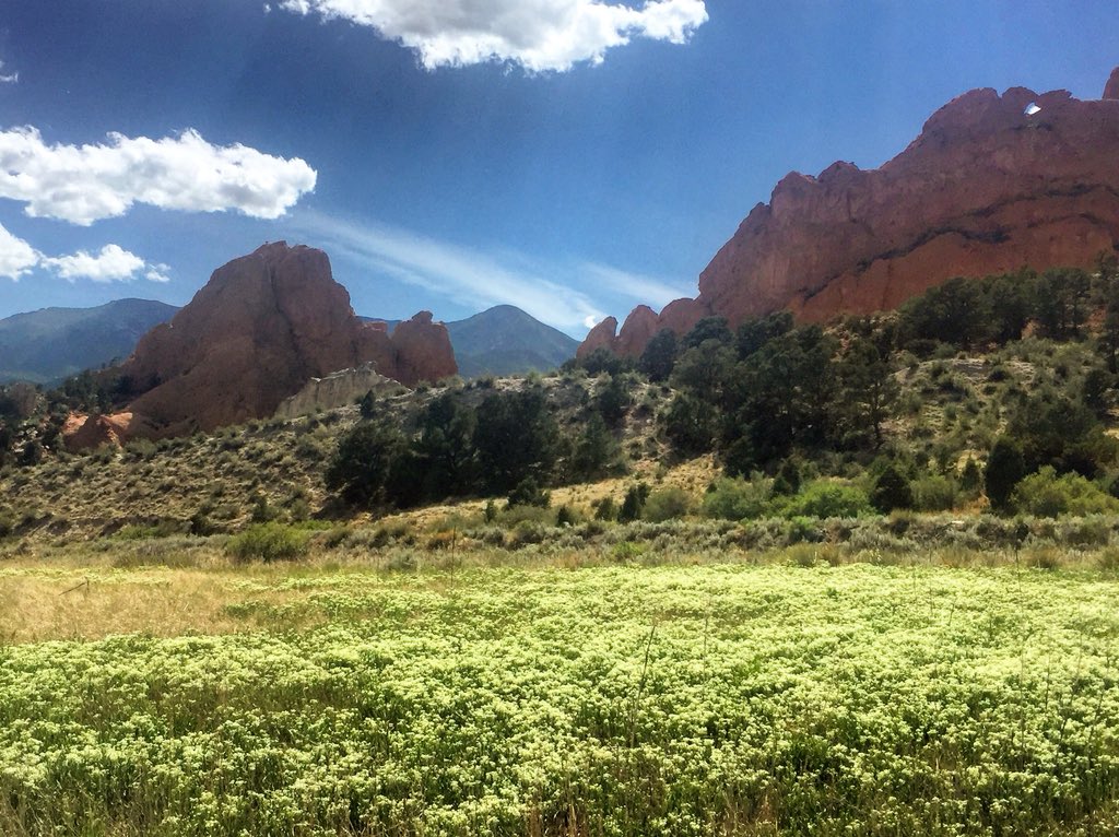 LocalGrowDoesOk's tweet photo. Lovely day at garden of the gods #Colorado https://t.co/jOOsg87emf