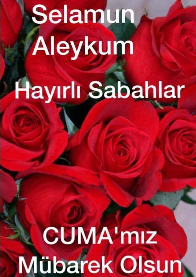 Cumâ'mız mübarek Duâ'larımız kabul olsun inşaAllah..💕
Dilerim yeni gün ve yeni ay yeni umutlarla,yepyeni başlangıçlarla gelsin🙋‍♀️🌞 Hayırlı Cumalar 
#Bismillah ❤ #AllahBizimledir