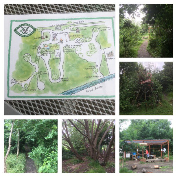 JaneCanDoSE4's tweet image. Great #volunteering session @WCWCatford This weather has created lots of growth so weed bashing a priority to clear the paths etc-also planting/sorting out shed #MagicalSpace #GreatOutdoors #Catford
