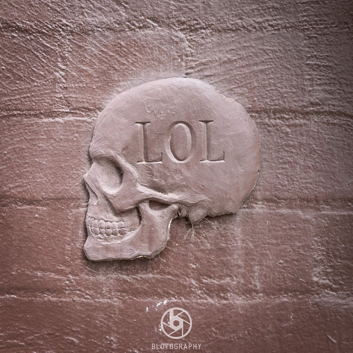 blotography's tweet photo. LOL - winter is here ❄️🤪❄️ #blotography #willcolessculpture #willcoles #winterishere #winterday #workday #skull #head #LOL #headshot #streetart #freezing #sydneystreetart #art #thegoodlife #sydneyphotographer #sydneyphotography #ilovesydney #Sydney #canonaustralia https://t.co/5dmQN4dKll