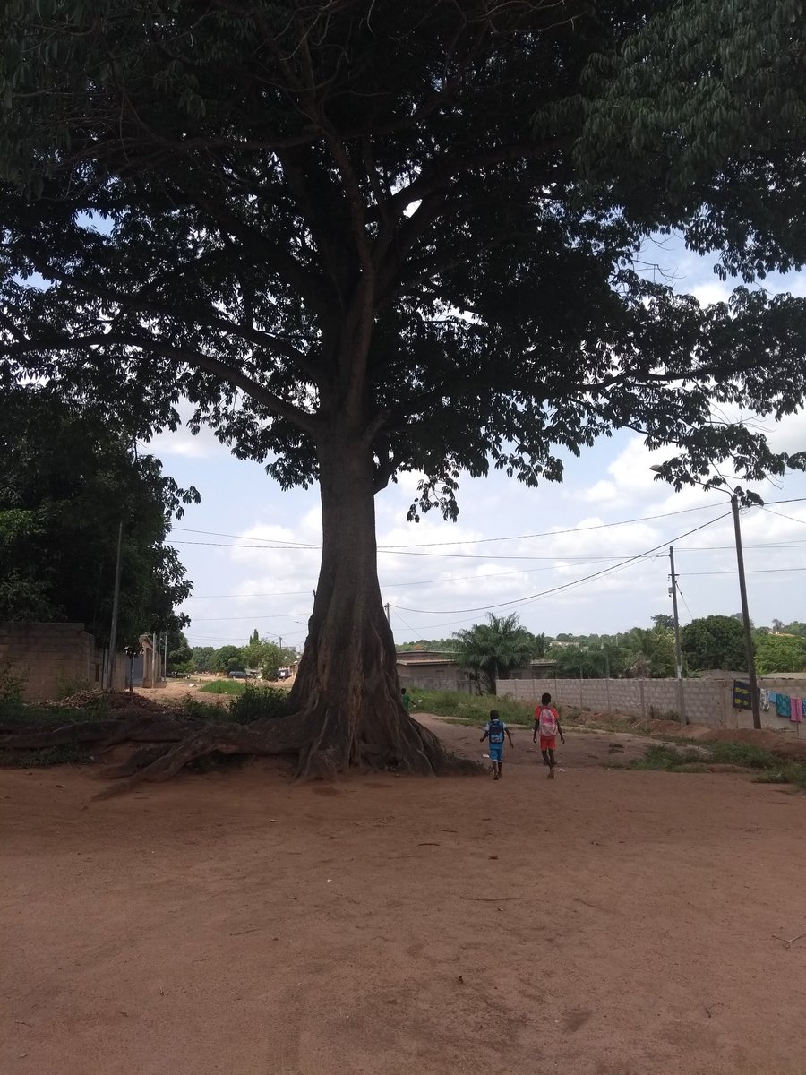 nicolas_chavent's tweet photo. Heading to #SOTMfr #Bordeaux where this WE will beat the heart of the @openstreetmap project. With @XavTardieu (#Haiti), @odette_aida (@OpenStreetMapSn), @aimee_sama (@OSMTogo) and @sev_osm we will tell part of the #OSM dynamics we contribute to.
#LesLibresGeographes #ProjetEOF https://t.co/2ETGzinDq0