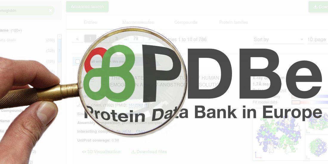 PDBeurope's tweet photo. New search features at PDBe include:
◦ Sequence searching with Phmmer (@hmm3r)
◦ Advanced searching (and/not/or) over many more data items, including lots of #cryoEM data
◦ 3D vis withLiteMol directly from the search results
https://t.co/VPeoliRwWk https://t.co/3c5IExUOnV