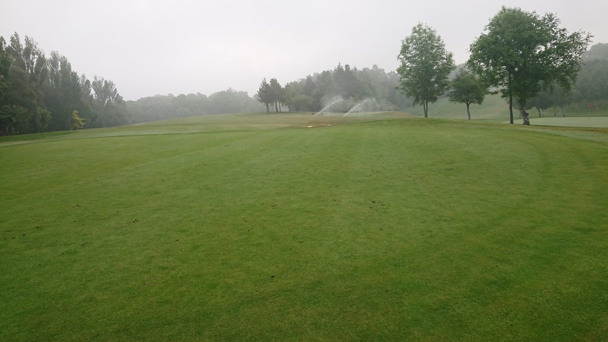 DDSmart71's tweet image. @Babertonreport Poa busting in the mist #surfacerefinement 👍🏻⛳🌫️🙏🏻☀️