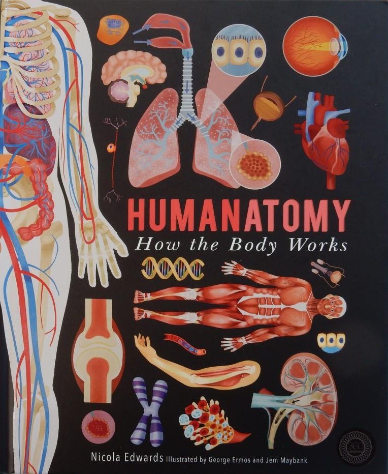 JillBennett18's tweet photo. On #RedReadingHub today the fascinating #Humanatomy:howthebodyworks by #NicolaEdwards #GeorgeErmos & @Jem_Maybank @LittleTigerUK #bookbloggers #review ๐ง ๐ง ๐ง ๐ง ๐ง https://t.co/MaJ5n09TN8 https://t.co/uVUsQxM3TX