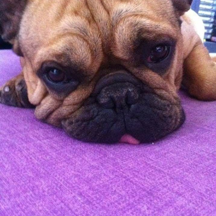 Ni Tan Cayito tweet media