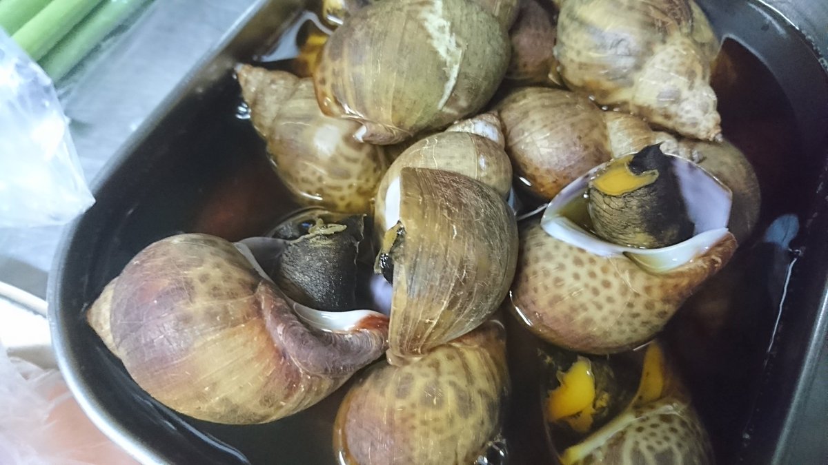 酒家山葵 バイ貝煮付け と 燻製玉子 出来ました O O 今日のメニューにあるよー ご注文お待ちしておりまーす 居酒屋 酒家山葵 燻製 バイ貝 燻製玉子 酒家山葵 バイ貝煮付け と 燻製玉子 出来ました O O 今日のメニューにあるよー ご注文お待ちしておりまーす 居酒屋 酒家山葵 燻製 バイ貝 燻製玉子