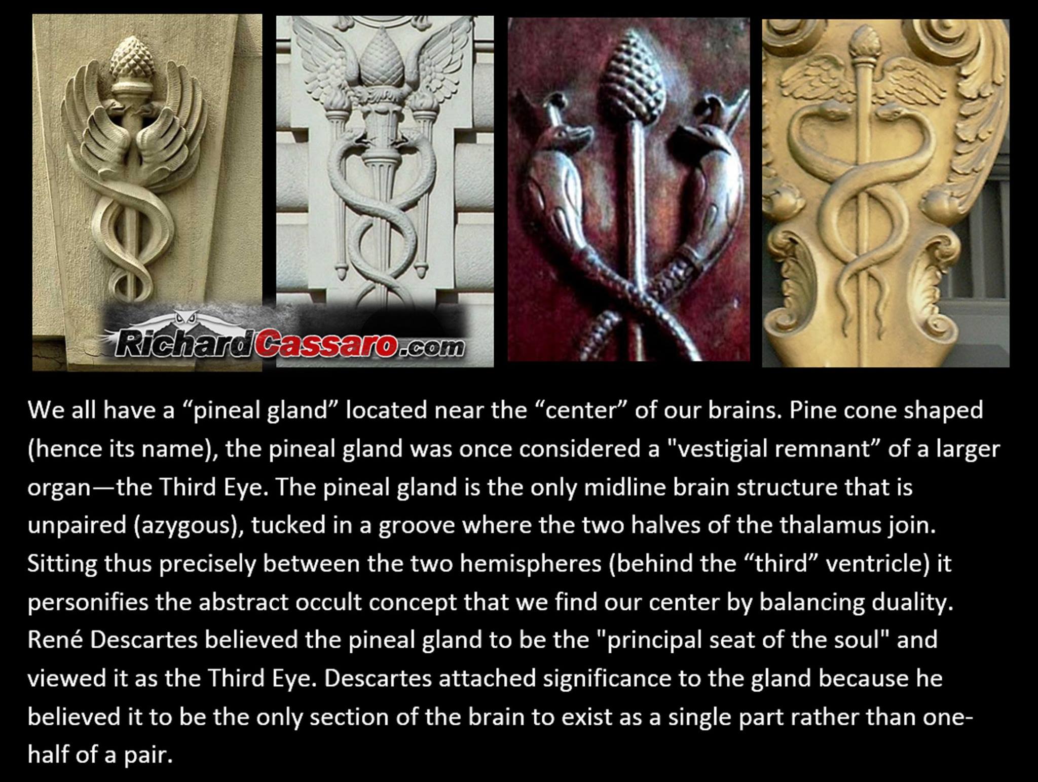 X 上的Richard Cassaro：「#PINE #CONE / #PINEAL GLAND I was studying and writing  about the “Pine Cone = Pineal Gland” connection years before #Facebook  existed! The idea has since become more than #