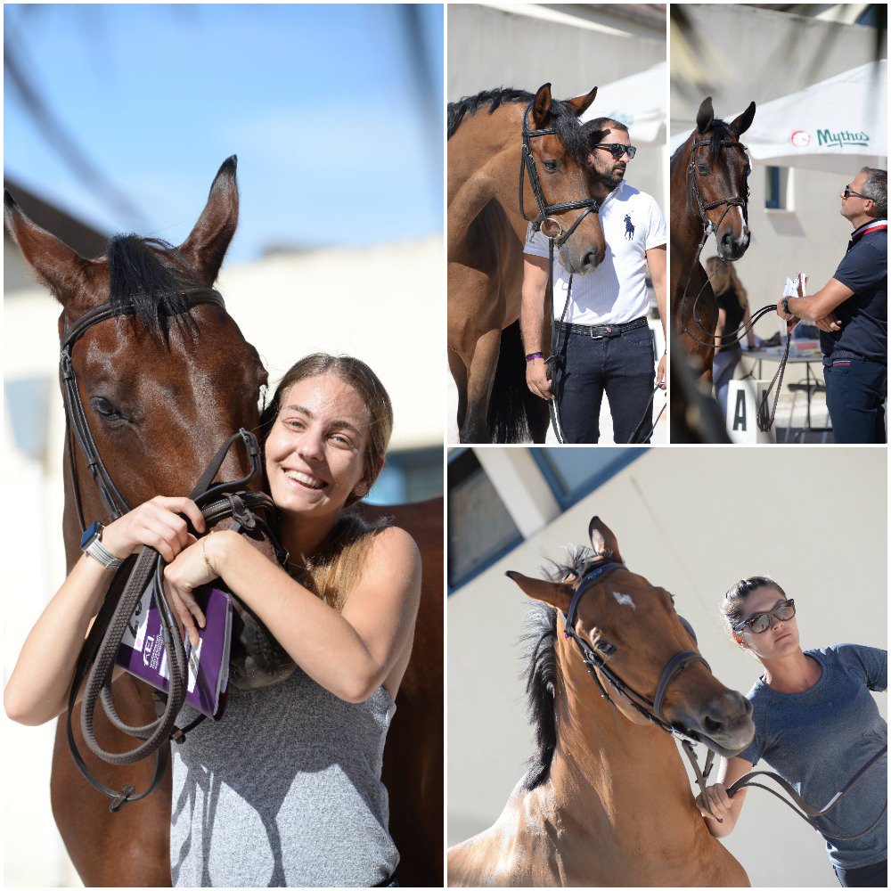 Στιγμιότυπα από τον κτηνιατρικό έλεγχο των αλόγων του πρώτου διεθνή αγώνα εμποδίων του Athens Equestrian Festival, που επιστρέφει στην Ελλάδα μετά το 2011. Photos from the vet check of the Athens CSI1* of the Athens Equestrian Festival, that is returning to Greece after 2011!