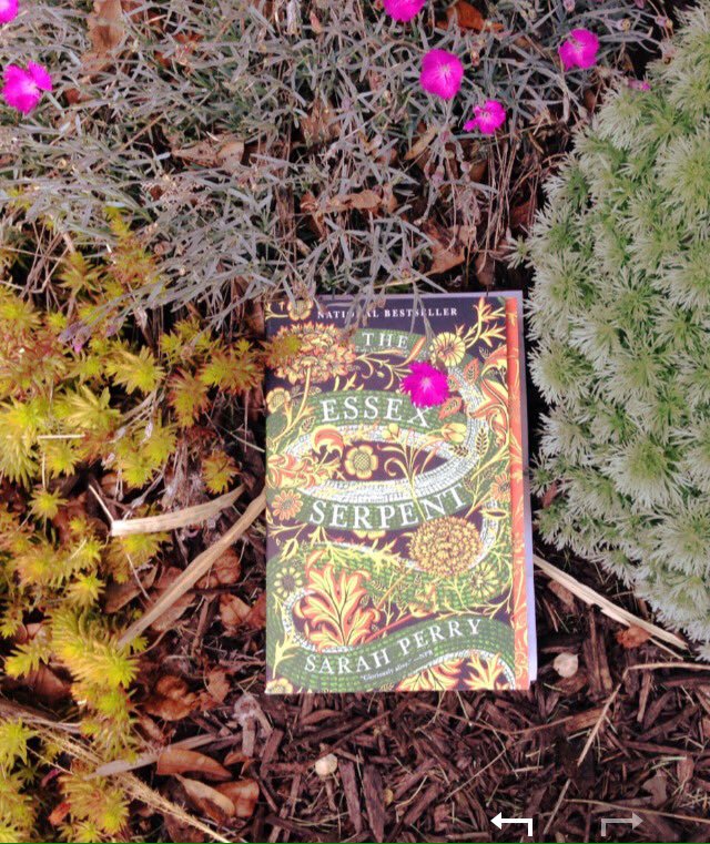 the essex serpent book buy the essex serpent book buy