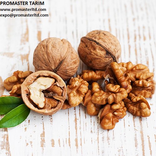 PromasterTarim's tweet image. Ceviz, içerdiği kalori ile kemik üzerinde olumlu etkiye sahiptir. Kalsiyum emilimi, kemik ve bağ doku sağlığı için gerekli olan manganezin %43’ü, günde 5 ceviz tüketimi ile vücuda alınabilir. Her gün 3 ceviz tüketimi, cildin elastikliğini arttırır ve cildin canlı kalmasını sağlar