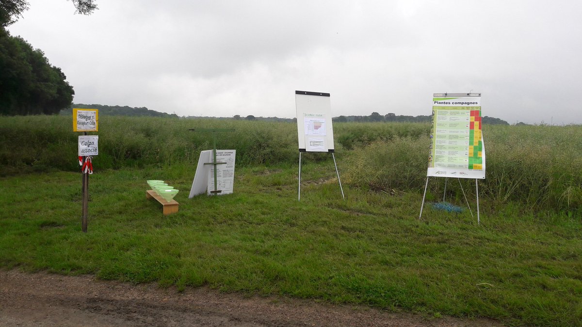 GdaVarennes's tweet photo. On vous attend sur la plateforme #ADAREL https://t.co/FeYzMwJY1l