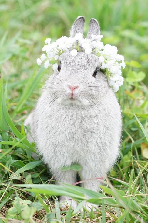 Good Morning World, it's a Brand New Month! #whiterabbits #pinchpunch #firstofthemonth