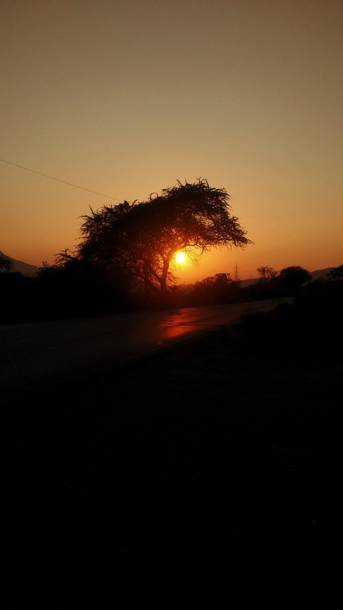MalekarOmkar's tweet photo. #MotoClick
#Motograph
#MyMotoG
Colours are not man-made, nature has filled in artistic way.. https://t.co/6hjC8BXh7O