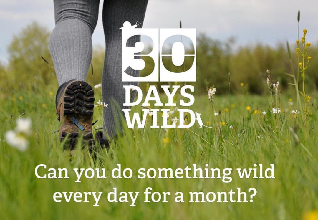 Mindfulspace Co. tweet media