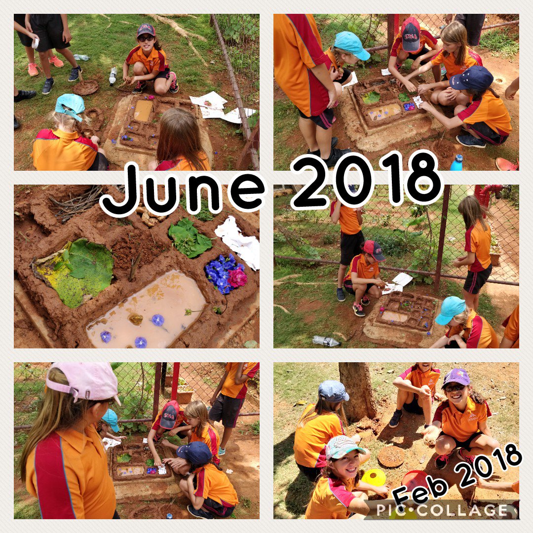 stonehillpyp's tweet photo. Anything can happen at recess with #StudentAgency. From making chocolate in February to creating an insect hotel in June, with plans to bring in more sustainable materials from home. Students learning and growing together. #SISlearns #SISAction @ibpyp https://t.co/ahfxuBV06l