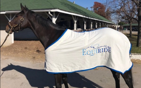 EquineInfoEx's tweet photo. Need to ship your horses to or from the #Racetrack? Try #EQUIRIDE - it's easy! @TheNYRA @ChurchillDowns @DelMarRacing @Arlington_Park @SHRP  @fairgroundsnola  @GulfstreamPark @santaanitapark @keenelandracing @TheNYRA @keeneland @equirideapp #HorseRacing #HorseShipping #StressFree https://t.co/2MZMkUGYzQ