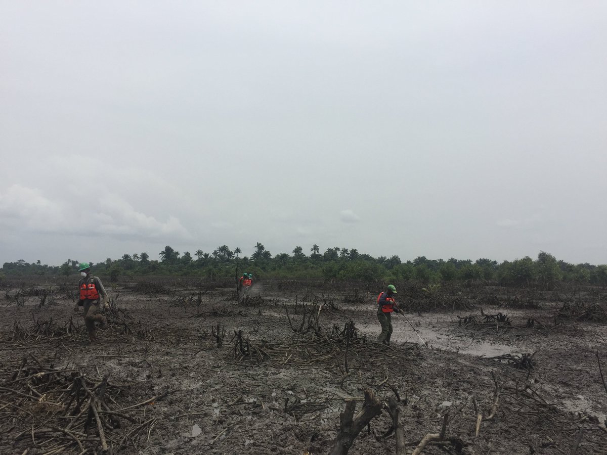 NLinNigeria's tweet photo. Two major oil spills occurred in the #Bodo creeks in 2008, leading to major environmental damage. While the #BodoCleanUp has made progress, there's still a long road ahead. We need to make sure real safeguards are in place to avoid this in the future. https://t.co/PJUy3fWakb
