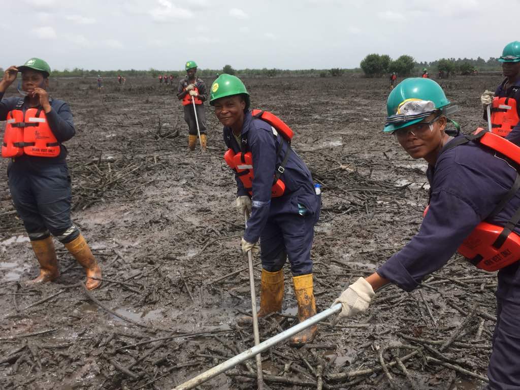 NLinNigeria's tweet photo. Two major oil spills occurred in the #Bodo creeks in 2008, leading to major environmental damage. While the #BodoCleanUp has made progress, there's still a long road ahead. We need to make sure real safeguards are in place to avoid this in the future. https://t.co/PJUy3fWakb