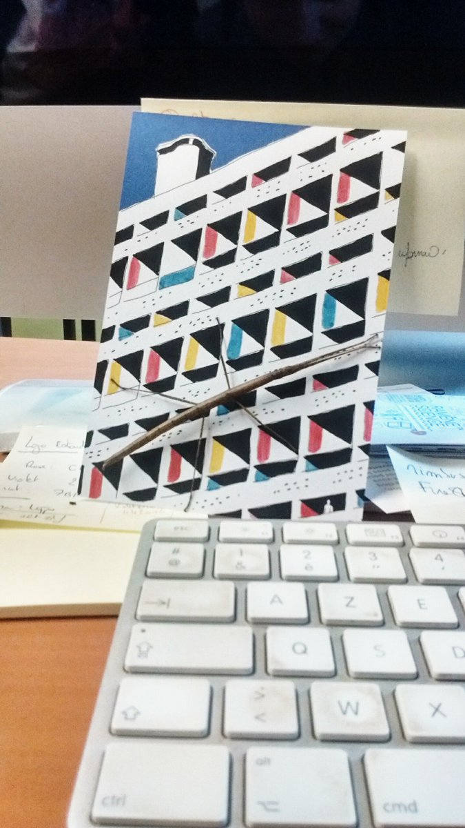 RaphieJarrige's tweet image. Travailler à la @RotondeSciences c'est la possibilité de tomber à tout moment sur de drôles de rencontres. #MetierARisque #Phasme #EducationAuxSciences #MondeDuVivant #Mues