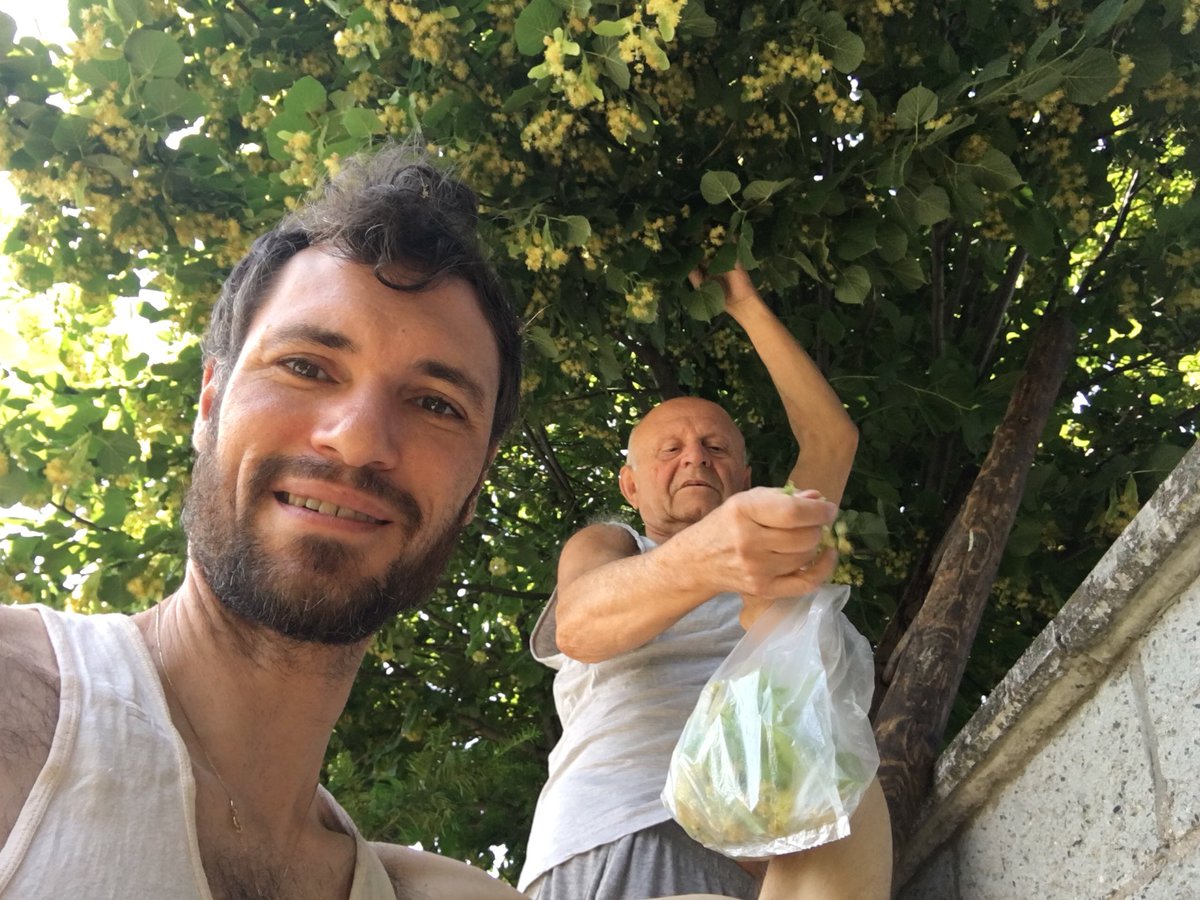 brewedbygnomes's tweet photo. Picking some fresh Linden flowers with brew daddy Tony for a special international collab with @pivovar_moravia https://t.co/dSv4609UTV